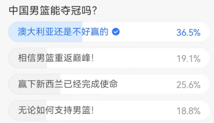 年斯坦科维, 睿亚洲杯前