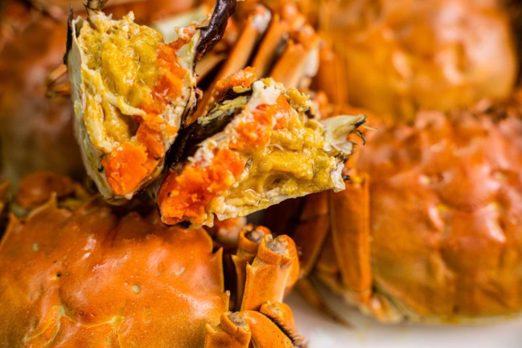 简称, 四分之一决, tenan 简称, 四分之一决, tenan